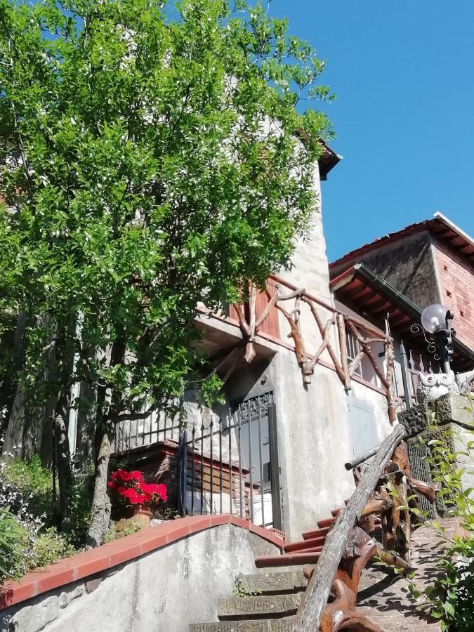 Apartament Collodi Castle Fairyhouse Zewnętrze zdjęcie